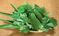 沖縄野菜